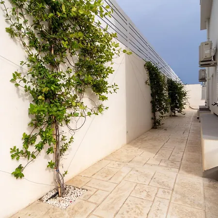 The Onames Flowers Apartment Reitani